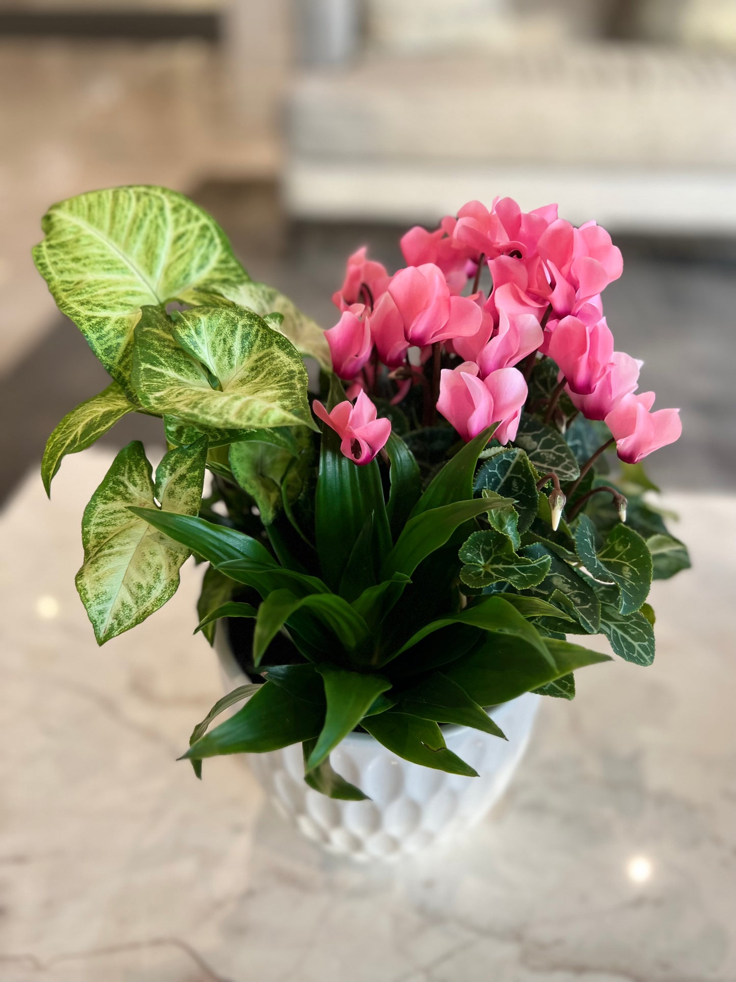 Samo Garden Series 1